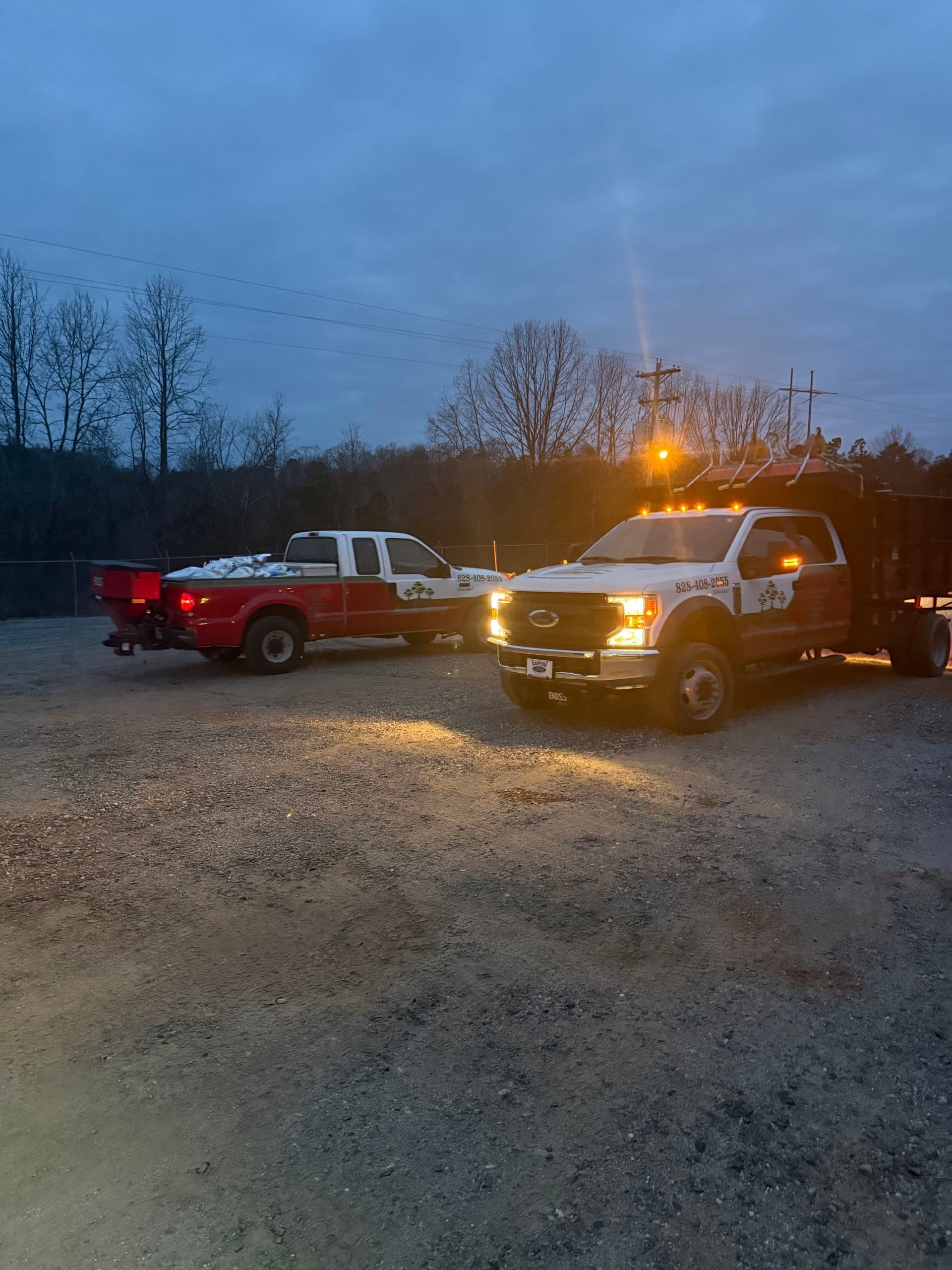 Winter Resilience by GC Landscaping in Morganton NC image