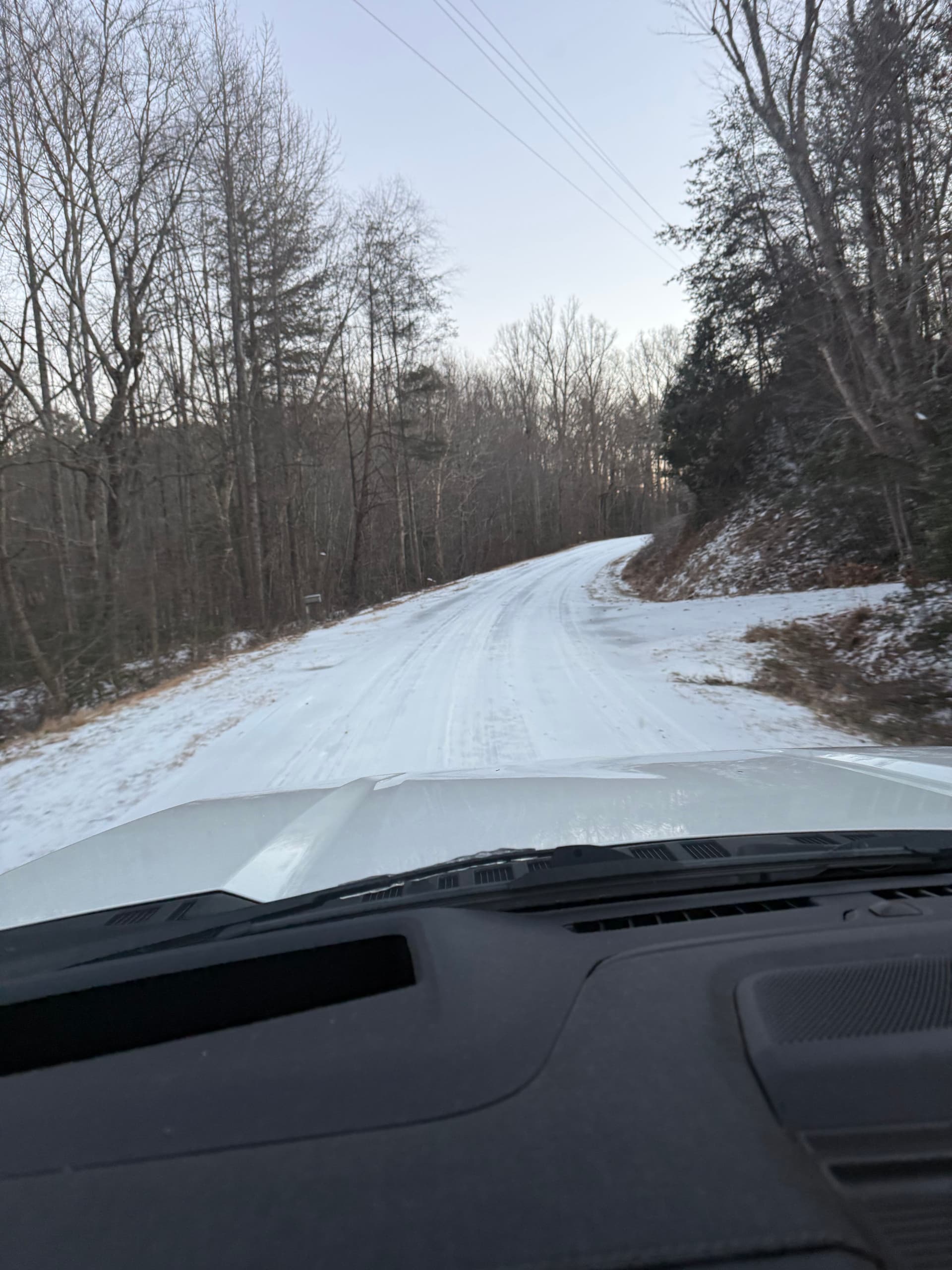 Gallery photos for Winter Resilience by GC Landscaping in Morganton NC: Image #1